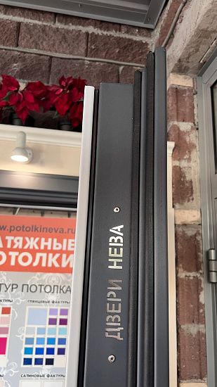 Входная дверь  