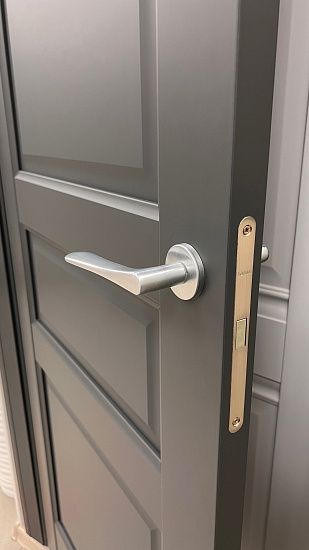 Межкомнатная дверь  