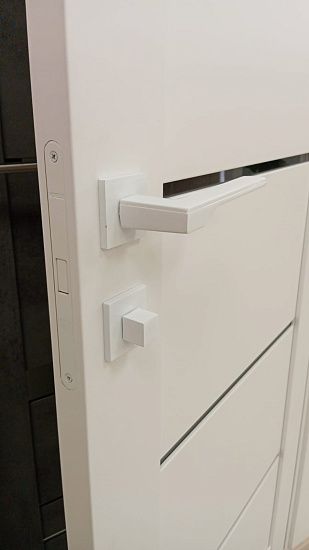 Межкомнатная дверь  